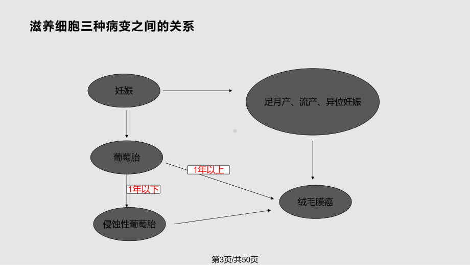 妇科疾病查房葡萄胎课件.pptx_第3页