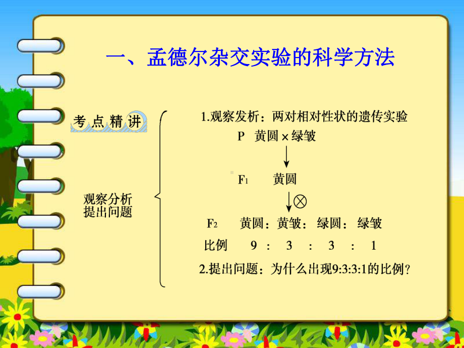 孟德尔遗传定律应用-课件.ppt_第3页