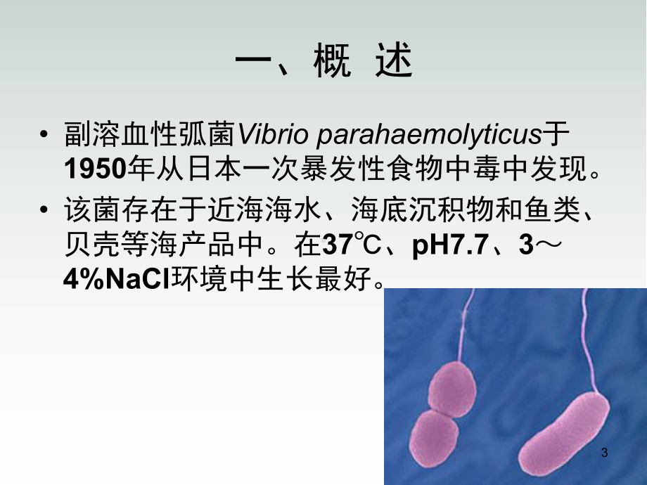 副溶血性弧菌检验课件.ppt_第3页