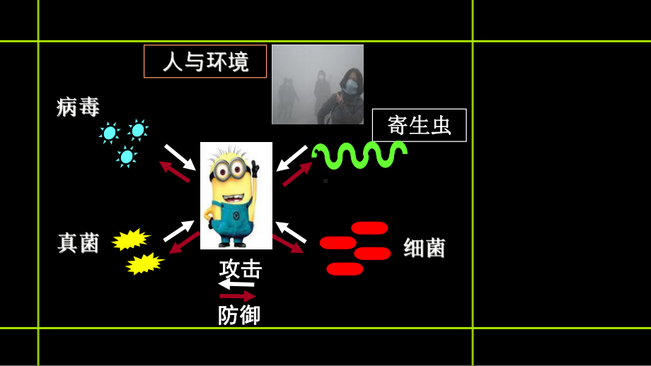 基础医学概论免疫学课件-2.ppt_第3页