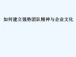 如何建立强势团队精神与企业文化(课件.ppt