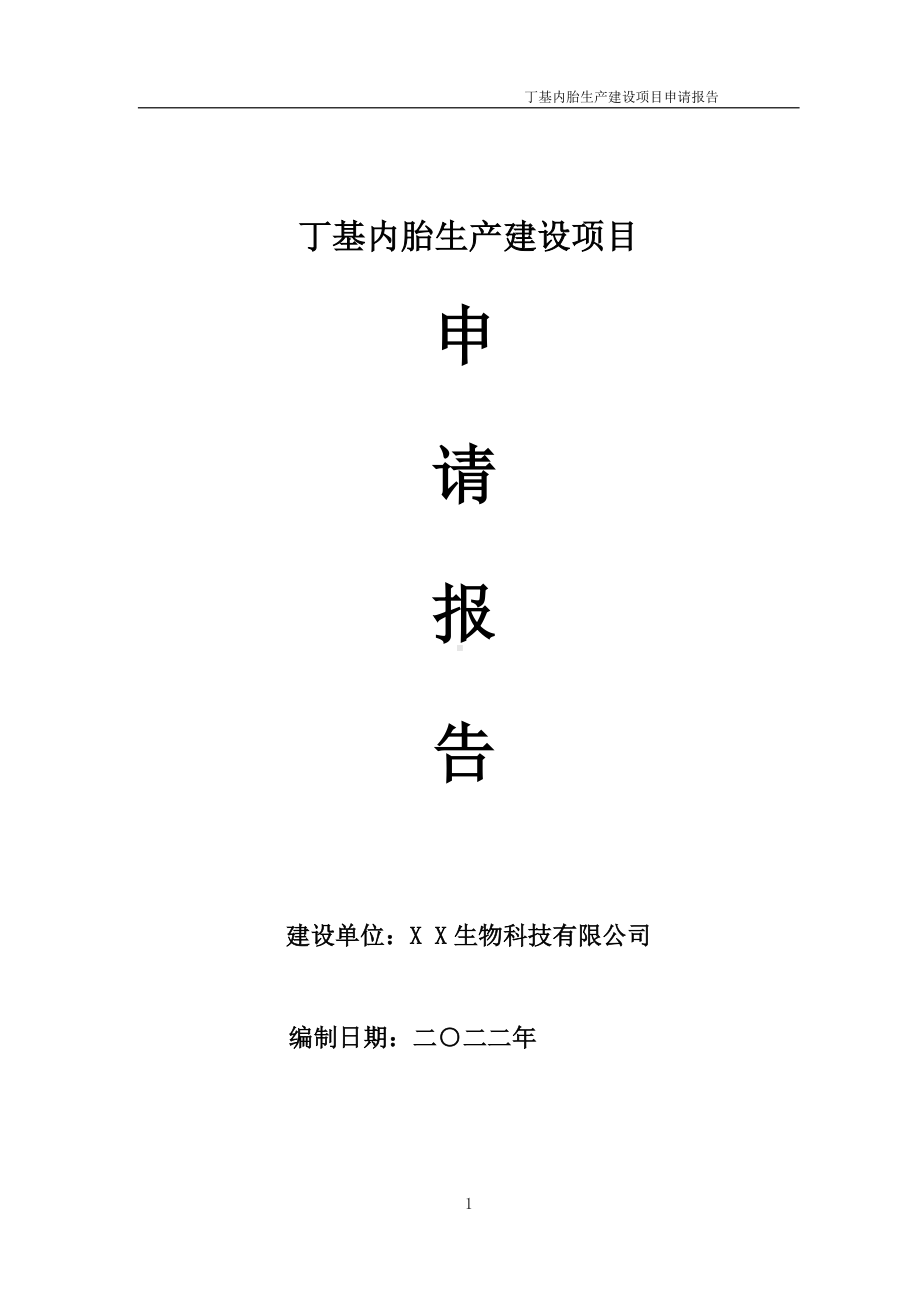 丁基内胎生产建设项目申请报告 （可编辑案例）.doc_第1页