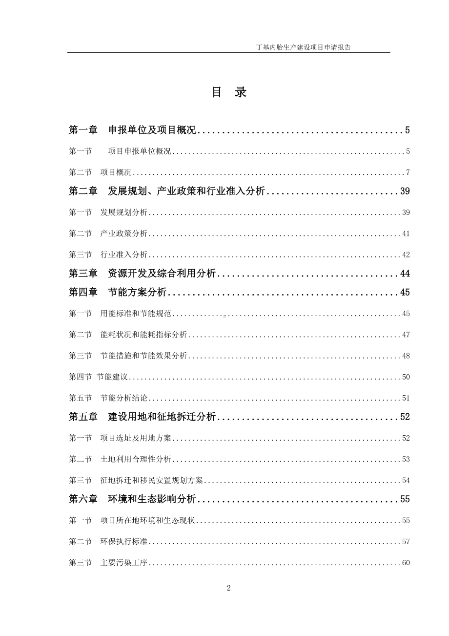 丁基内胎生产建设项目申请报告 （可编辑案例）.doc_第2页