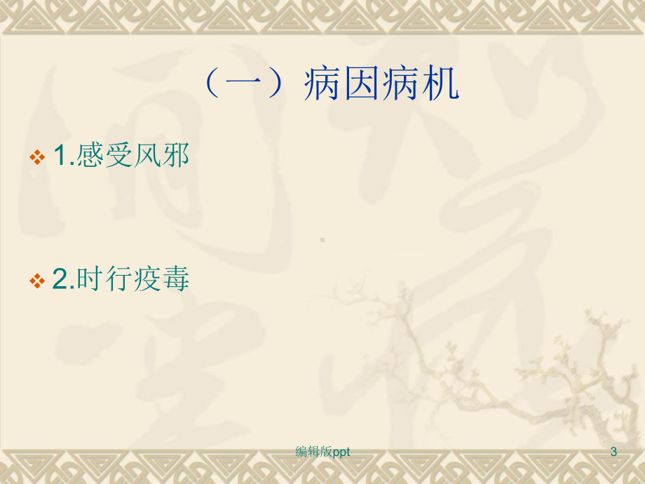 常见病证护理课件.ppt_第3页