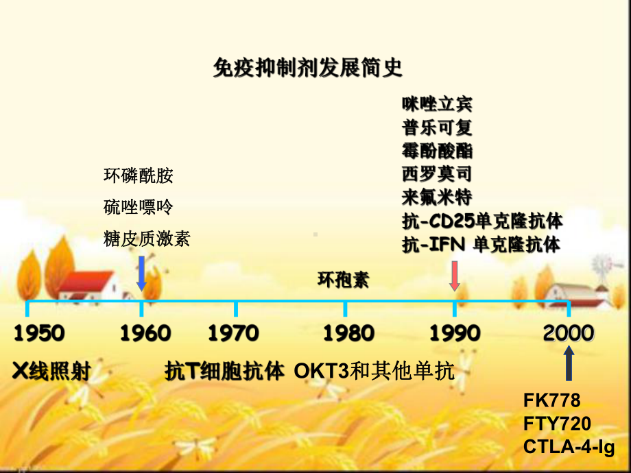 免疫抑制剂作用机制课件.ppt_第3页