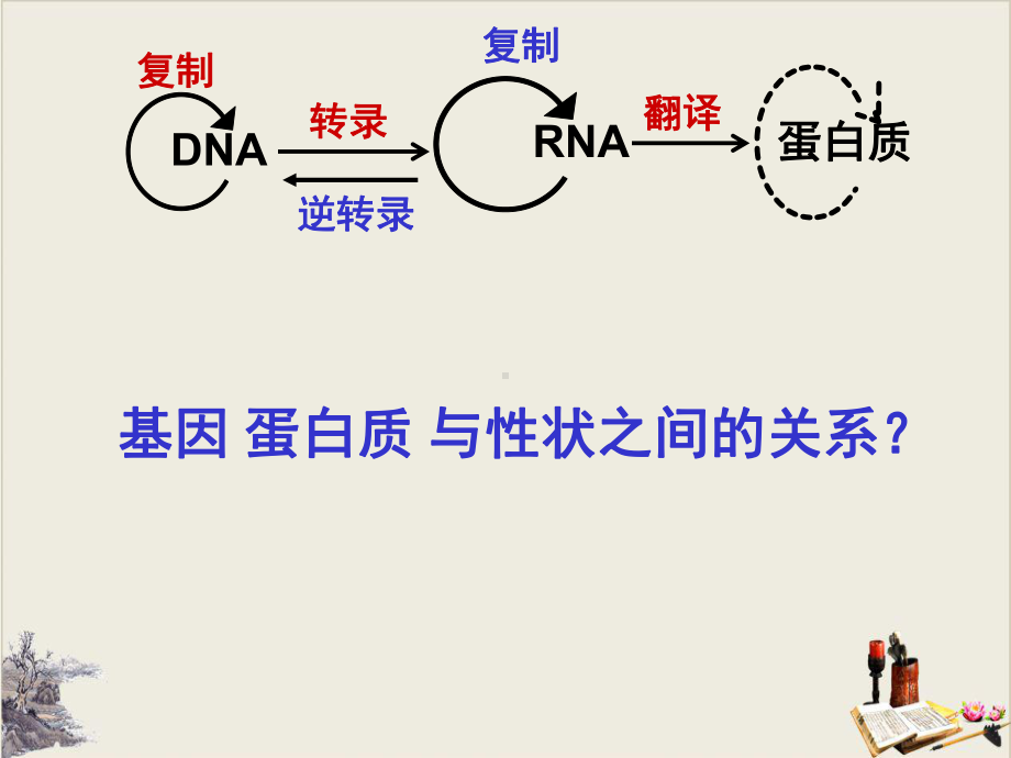 基因表达与性状的关系(20张)课件.ppt_第1页