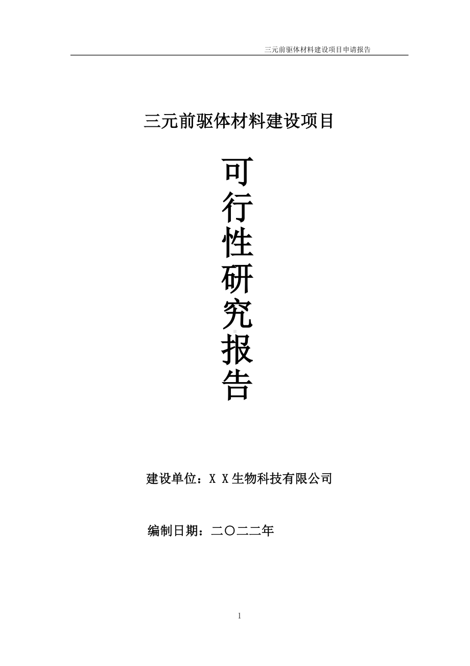 三元前驱体材料项目可行性研究报告备案申请模板.doc_第1页