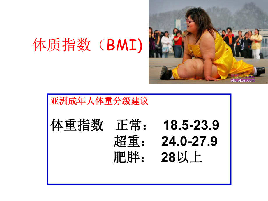 常规员工体检报告解读分析(31张)课件.ppt_第3页