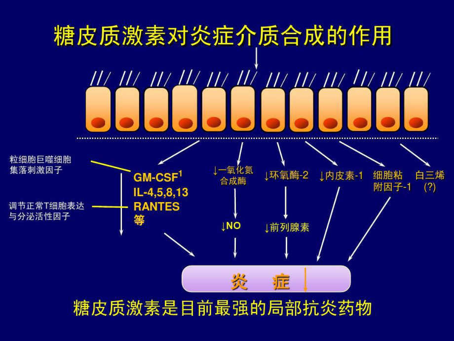 吸入型糖皮质激素药理分析45张课件.ppt_第3页