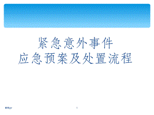 应急预案及处置流程课件.ppt