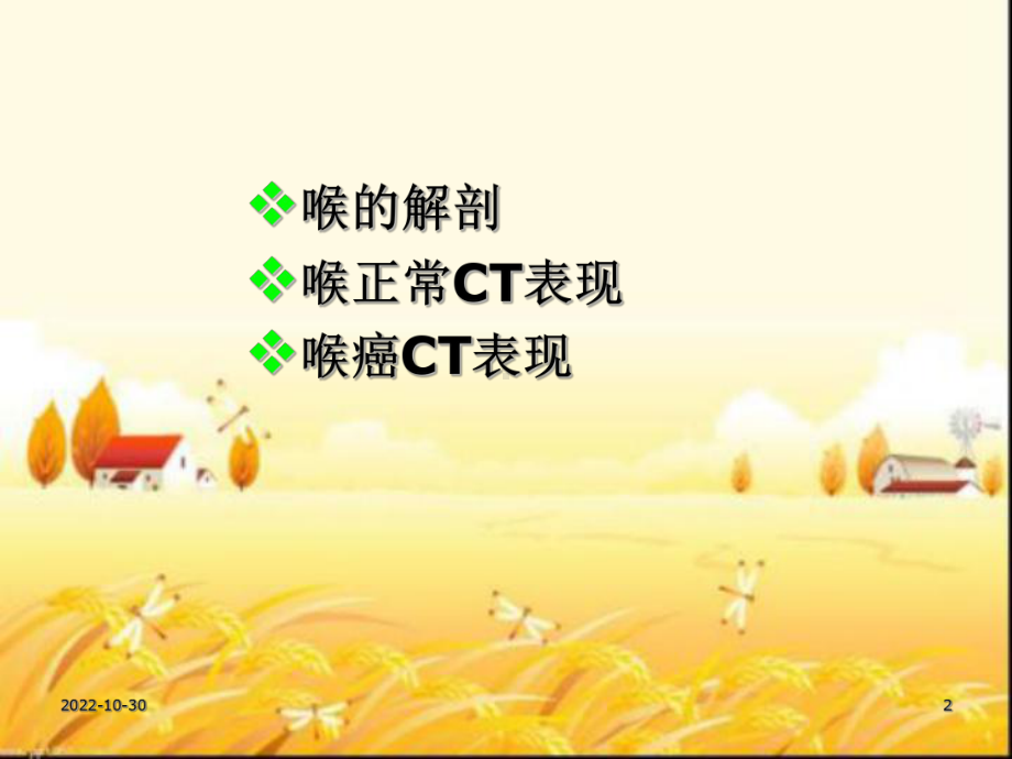 喉癌的影像CTMRI诊断课件.ppt_第2页