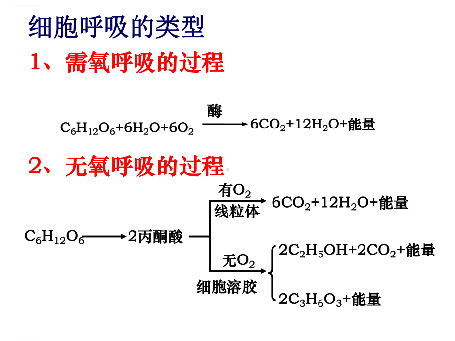 光合作用与呼吸作用中液滴移动问题小结-(共13张)课件.ppt_第2页