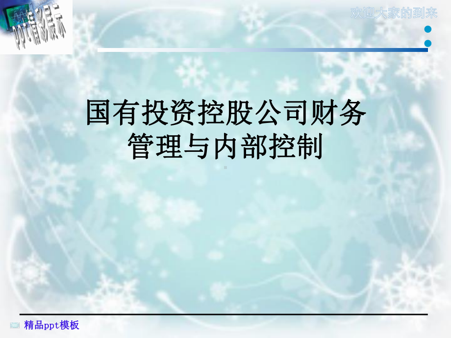 国有投资控股公司财务管理与内部控制课件.ppt_第1页