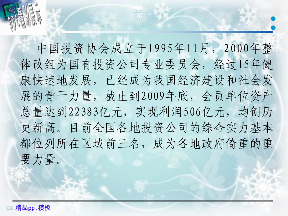 国有投资控股公司财务管理与内部控制课件.ppt_第2页