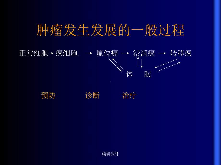 实验肿瘤学基本概念教学课件.ppt_第2页