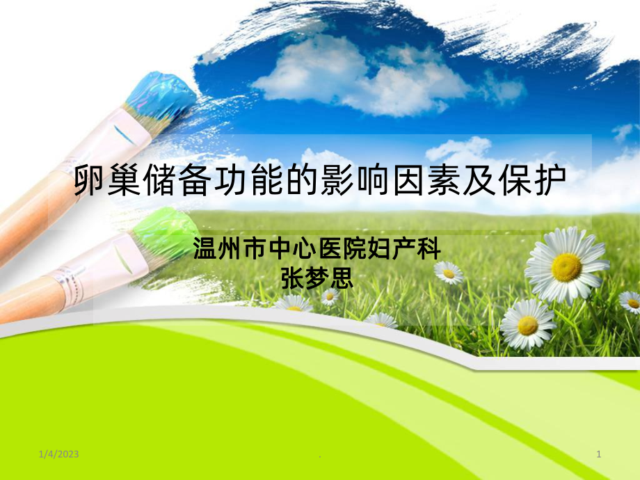 卵巢功能描述课件.ppt_第1页