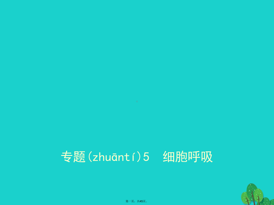 北京市高考生物专题复习专题5细胞呼吸课件新人教版.ppt_第1页