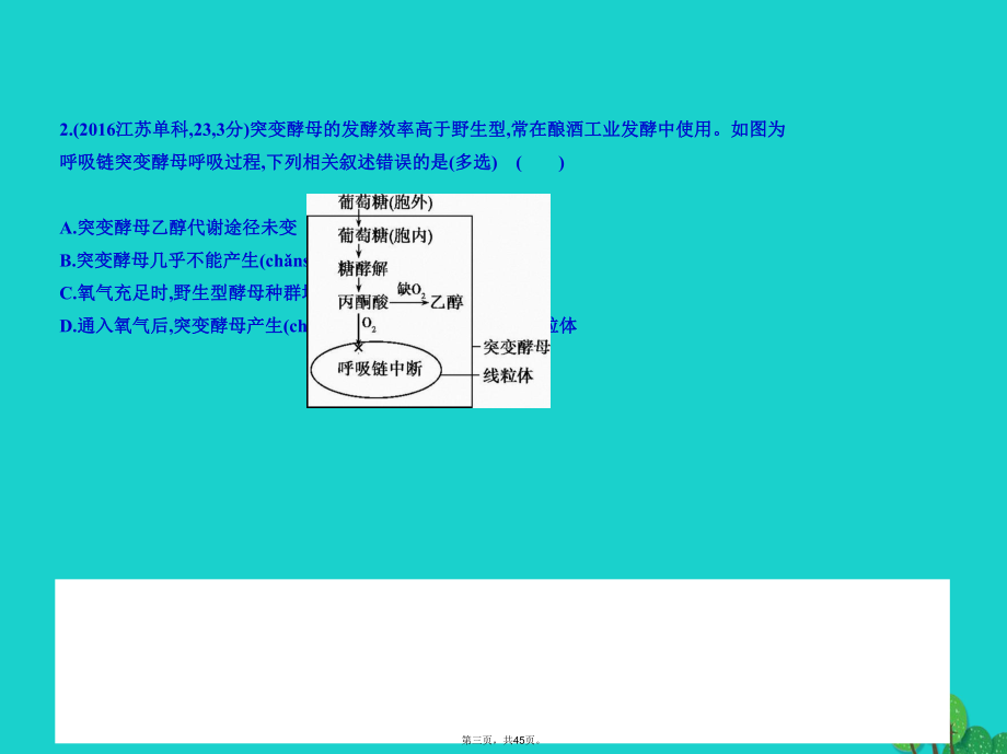 北京市高考生物专题复习专题5细胞呼吸课件新人教版.ppt_第3页