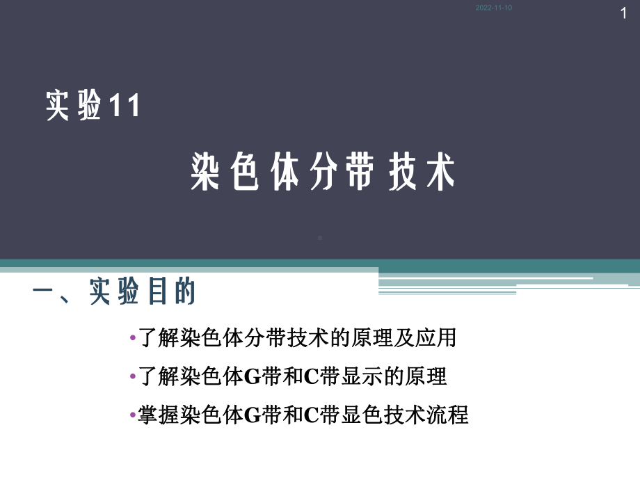 实验11染色体分带技术课件.ppt_第1页