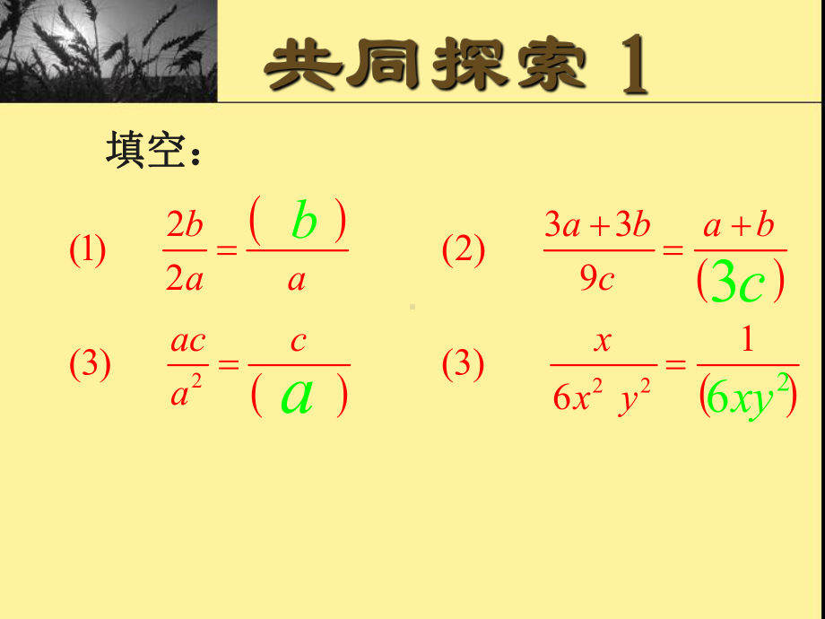 分式的约分-课件-苏科版.ppt_第3页