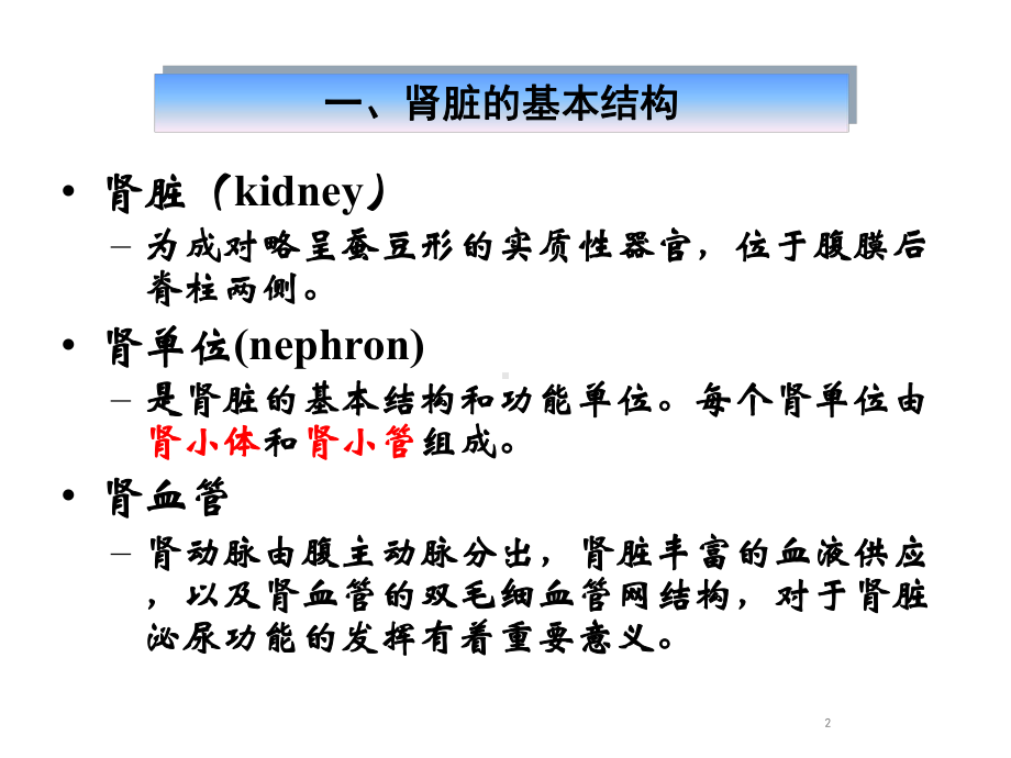 常用肾脏功能实验室检测课件-2.ppt_第2页