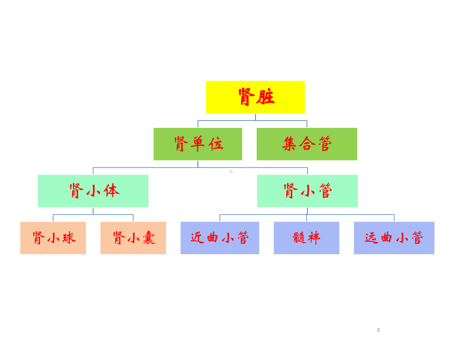 常用肾脏功能实验室检测课件-2.ppt_第3页