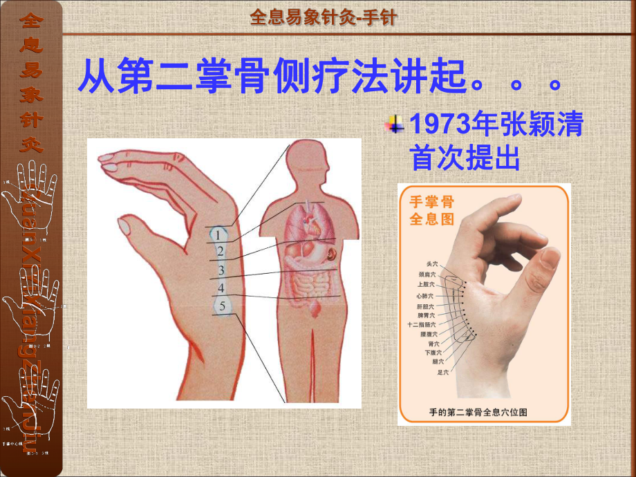 全息易象针灸-基础理论解析课件.ppt_第3页