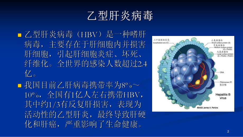 妊娠期乙型肝炎的筛查治疗及垂直传播的预防指南课件.ppt_第2页