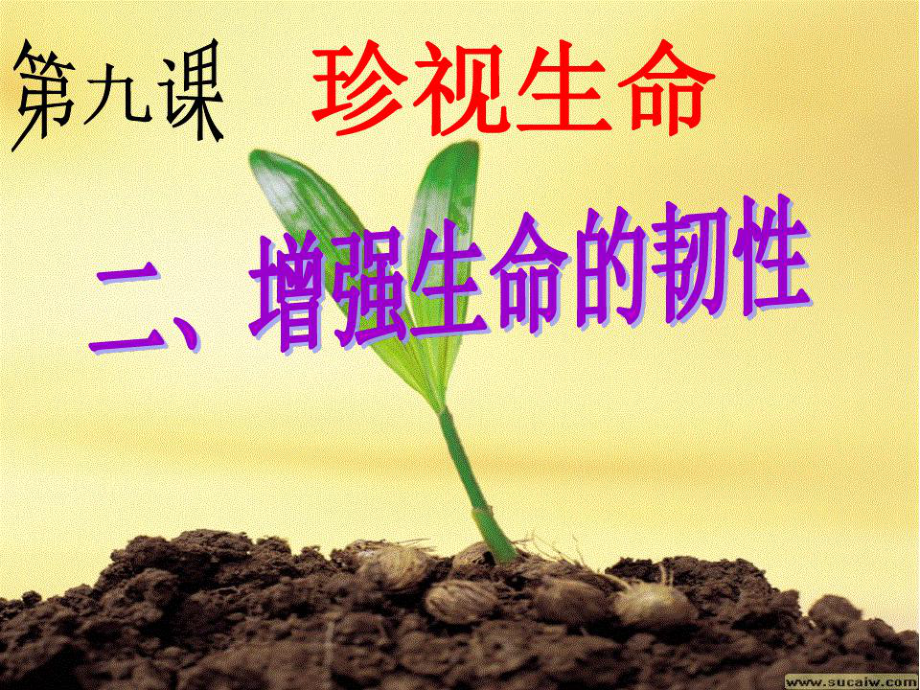 增强生命的韧性课件.ppt_第1页