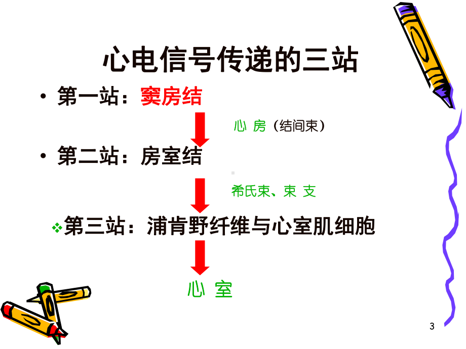 心电图学总结课件.ppt_第3页