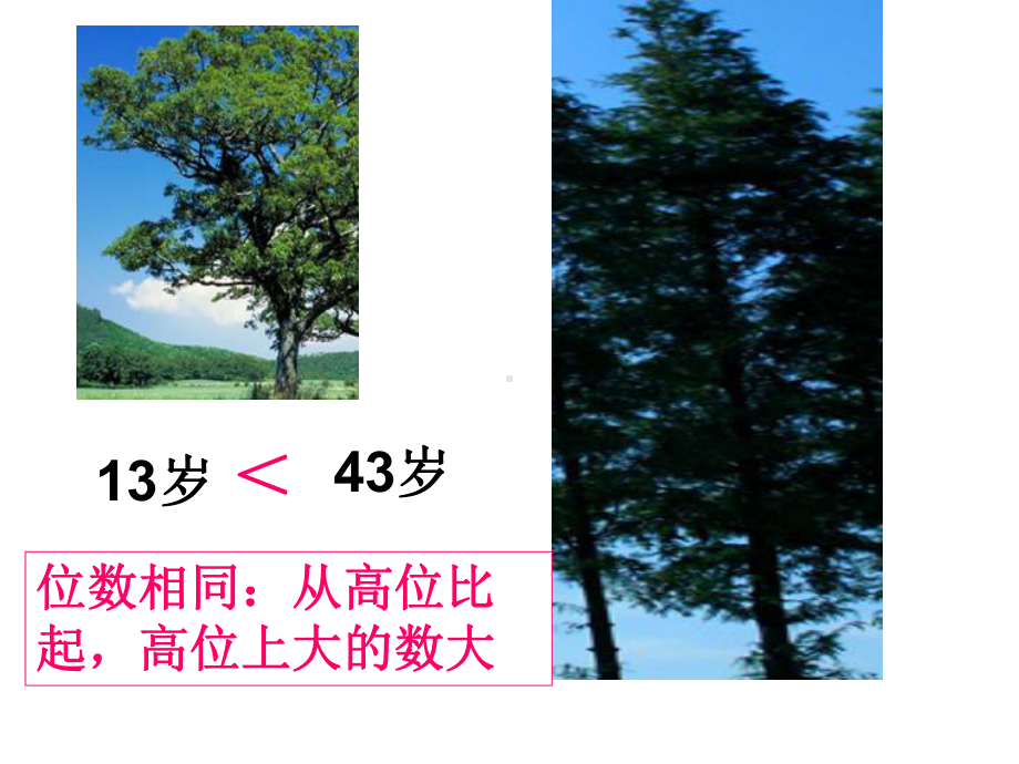 千以内数的大小比较课件.ppt_第3页