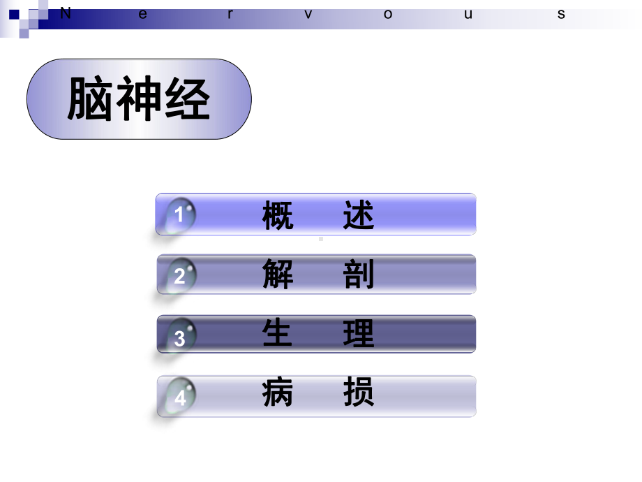 十二对颅神经课件.ppt_第2页