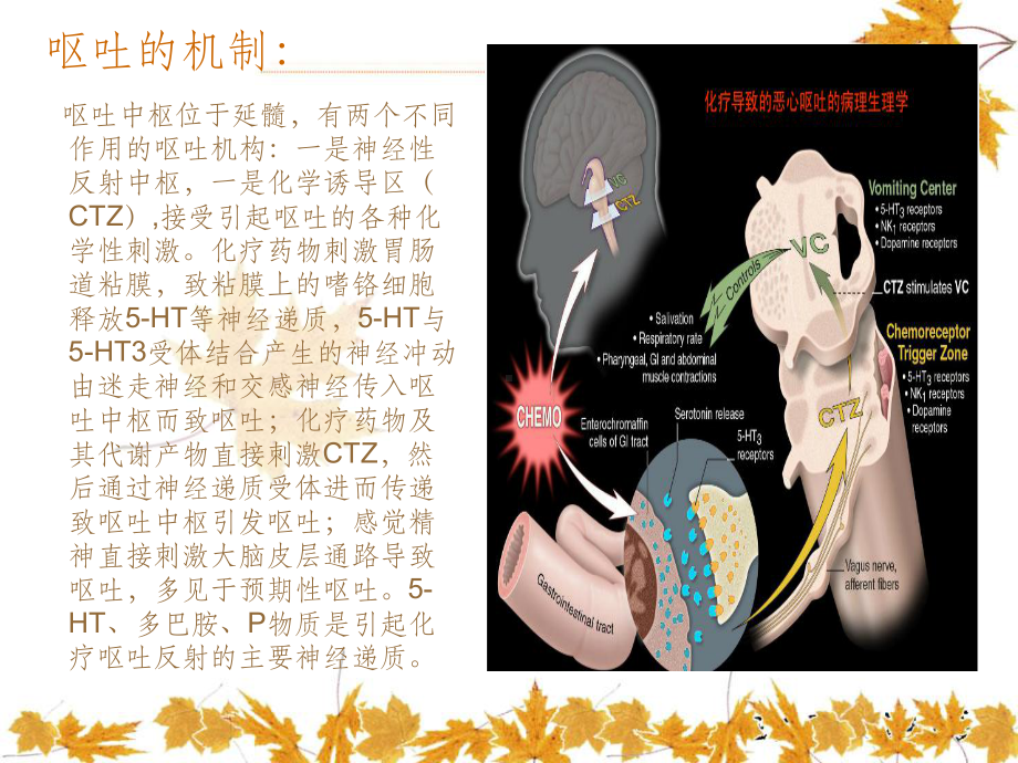 常用止吐药物版课件.ppt_第3页