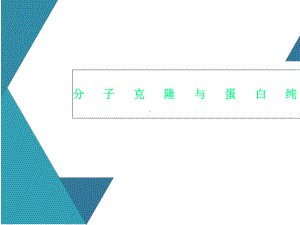 分子克隆与蛋白纯化课件.ppt