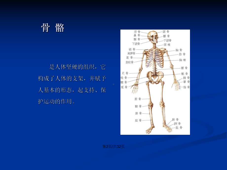 头面部骨骼和肌肉学习教案课件.pptx_第2页