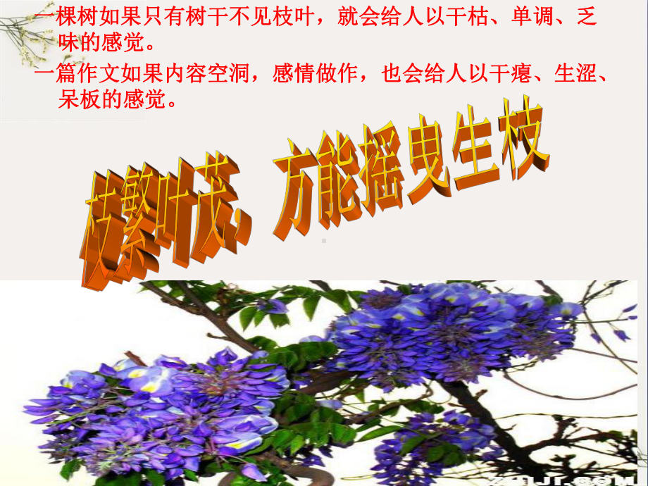 初中作文指导：记叙文升格指导：让细节丰富你的文章课件-2.ppt_第1页