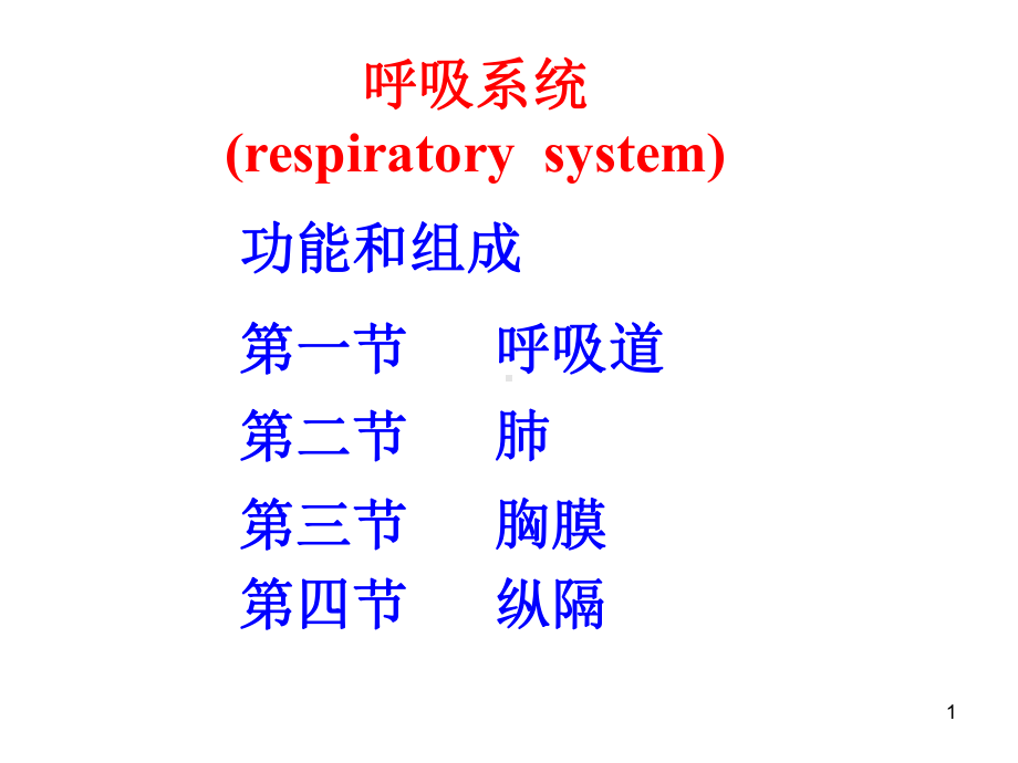 呼吸系统(respiratorysystem)课件.ppt_第1页