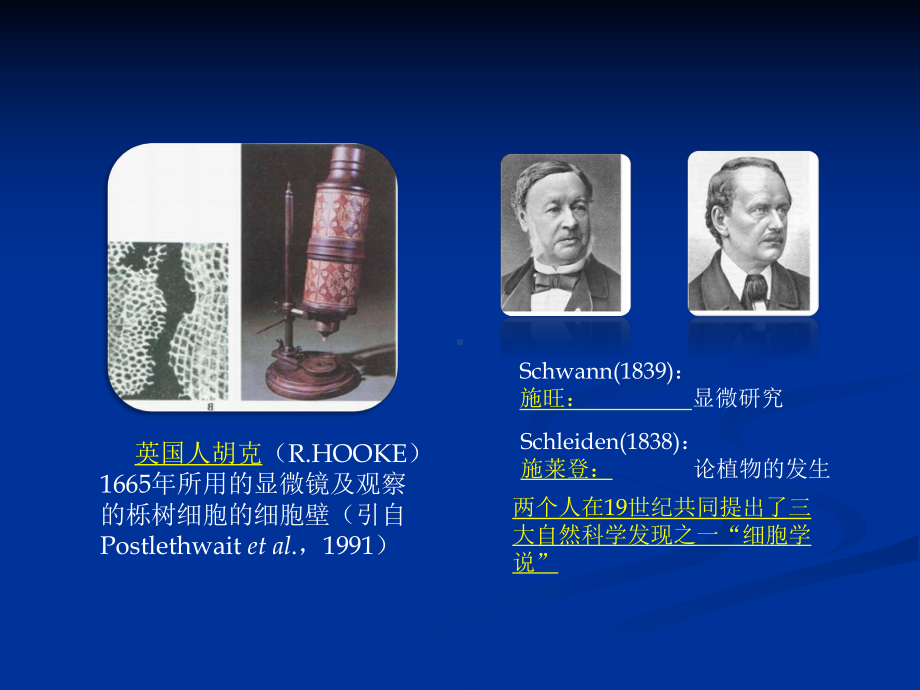 医学生物学期末复习第二章生命的基本单位-细胞课件.ppt_第2页