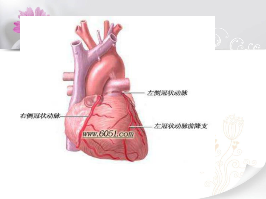 冠心病健康教育正式版课件.ppt_第3页