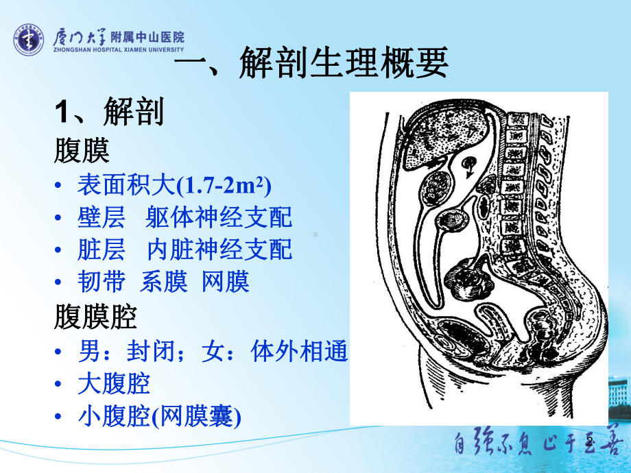 急性化脓性腹膜炎见习课件.ppt_第2页