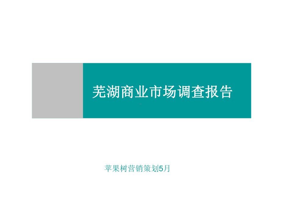 安徽芜湖商业市场调查报告课件.ppt_第1页