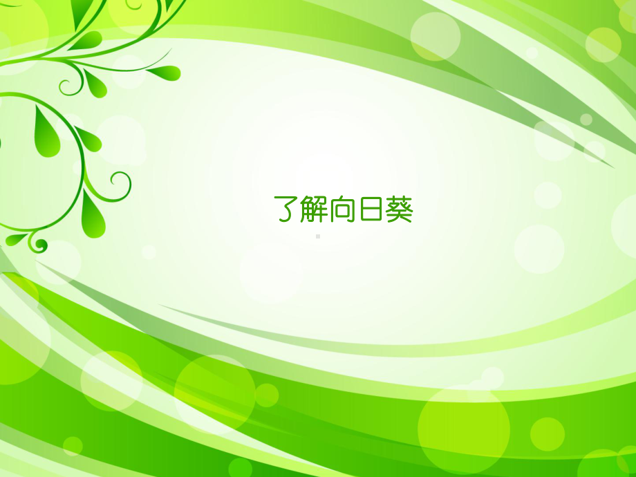 向日葵(观察植物)课件.ppt_第1页