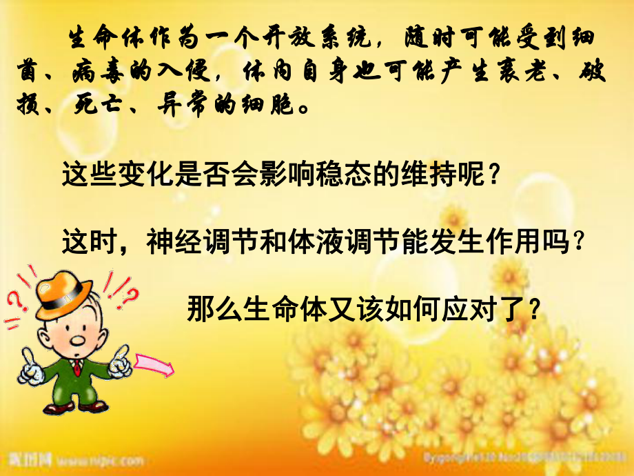 免疫调节(复习)课件.ppt_第1页