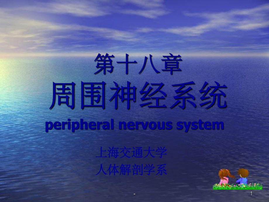 周围神经系统解剖学-课件.ppt_第1页