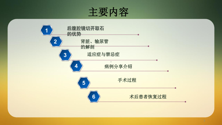 后腹腔镜下肾盂切开取石术手术病例分享课件.ppt_第3页