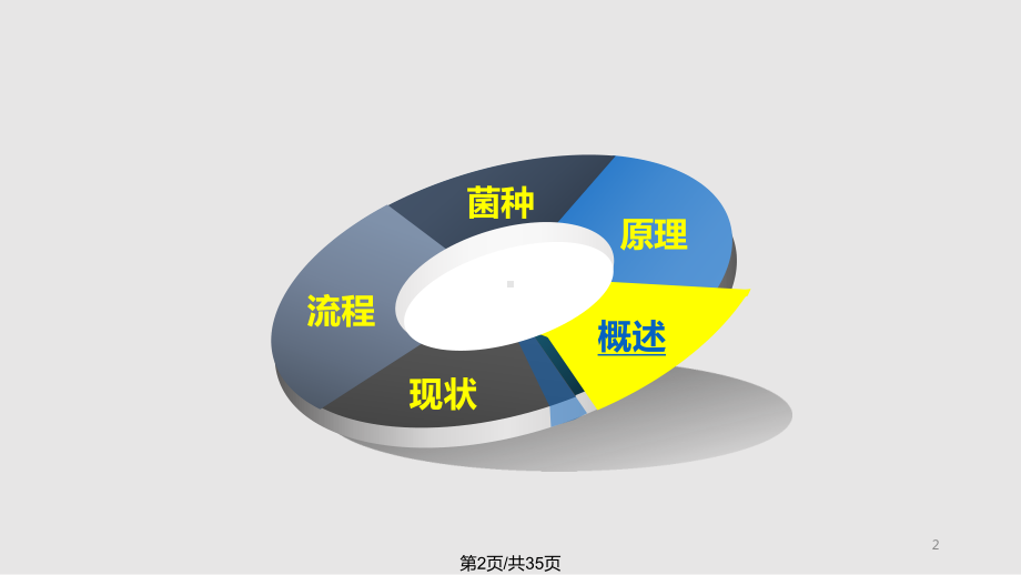 含砷金矿的细菌预处理工艺课件.pptx_第2页