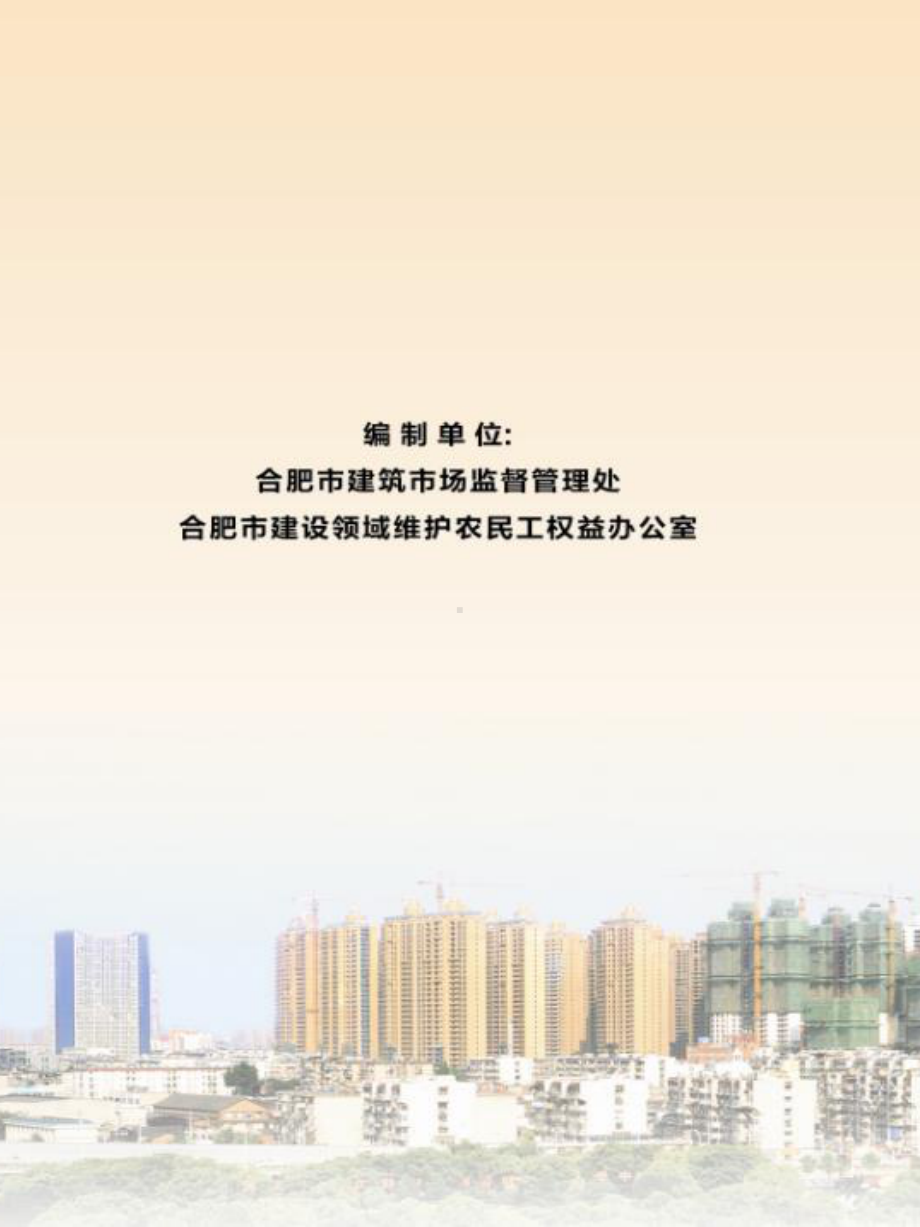 合肥市建设领域农民工工资专用账户管理工作手册课件.ppt_第2页