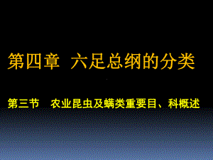 农业昆虫及螨类重要科目概述课件.ppt