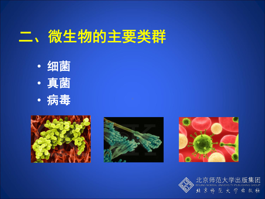 微生物在生物圈中的作用第二课时-课件.ppt_第2页