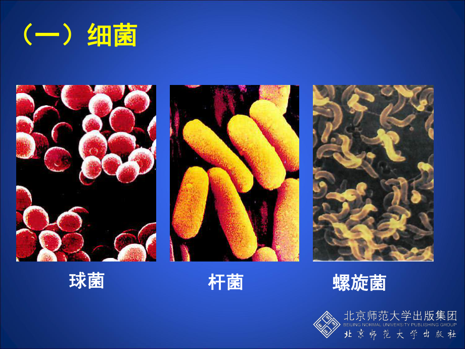 微生物在生物圈中的作用第二课时-课件.ppt_第3页